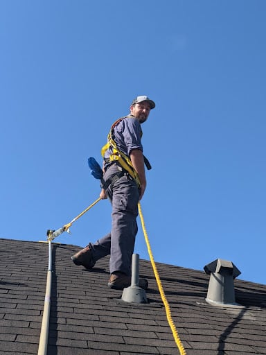 Pest Control Services by 99 Pest Solutions
