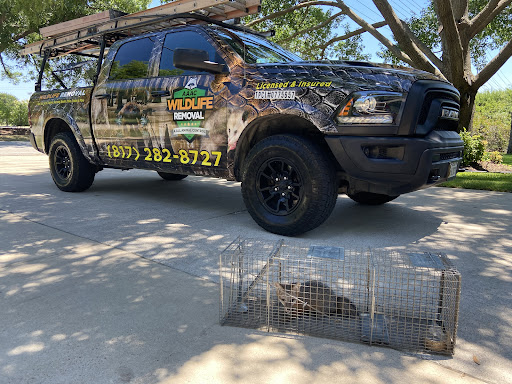 Pest Control Services by AAAC Wildlife Removal of Fort Worth in Southlake