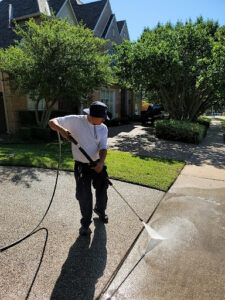 Pest Control Services by ABC Home & Commercial Services in Arlington