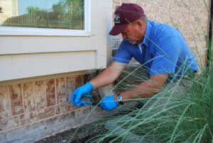 Pest Control Services by ABC Home & Commercial Services in Corpus Christi