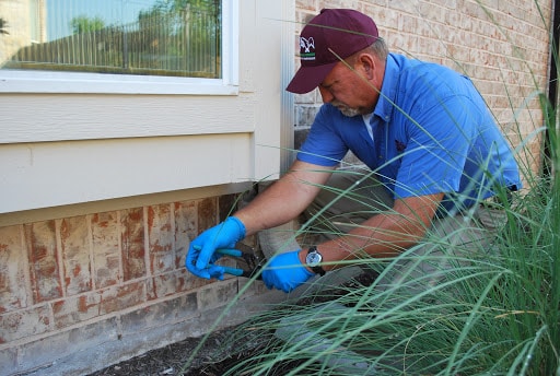 Abc Pest Control Corpus Christi