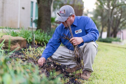 ABC Home & Commercial Services, Pest Control company in Katy Pest Control Services by ABC Home & Commercial Services in Katy, Texas