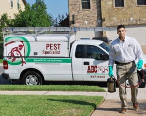 Pest Control Services by ABC Home & Commercial Services in Weslaco
