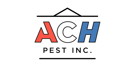 Pest Control Services by ACH Pest