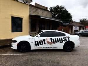 Pest Control Services by ACI Pest & Lawn Solutions - Marble Falls in Marble Falls