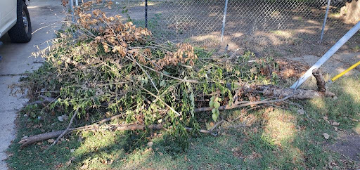 A&G Wildlife Services, Pest Control company in Dallas Pest Control Services by A&G Wildlife Services in Dallas, Texas