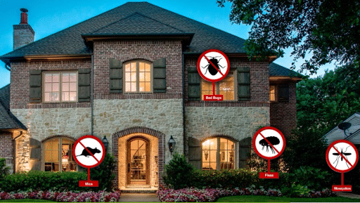 AJB Pest & Termite, Pest Control company in Dallas Pest Control Services by AJB Pest & Termite in Dallas, Texas