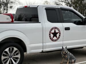 Pest Control Services by APC in Grand Prairie