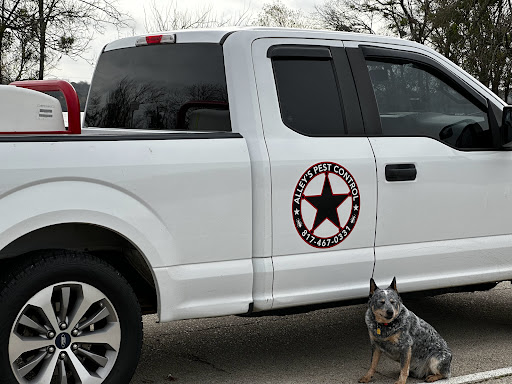 Pest Control Services by APC in Grand Prairie
