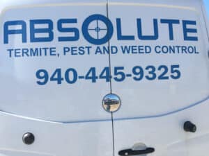 Pest Control Services by Absolute Termite & Pest Control in Perrin