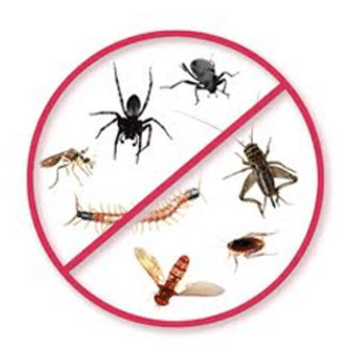 Pest Control Services by Accurate Termite & Pest Control in Cedar Park, Texas