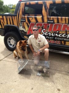 Pest Control Services by Action Services Wildlife & Pest Control in Waco