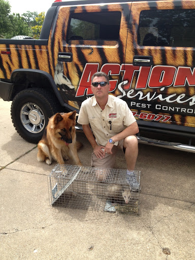 Pest Control Services by Action Services Wildlife & Pest Control in Waco