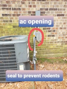 Pest Control Services by Action Termite And Pest Control Llc in Shepherd