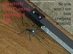 Pest Control Services by Adam'S Pest Control in Spring