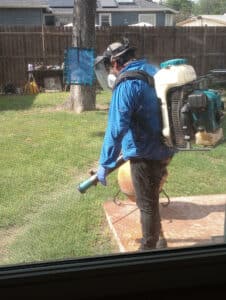 Pest Control Services by Adios Pest Control in San Antonio