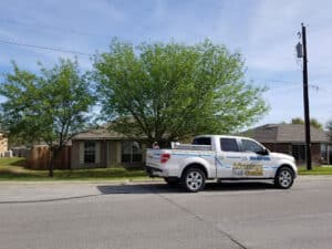 Pest Control Services by Advantage Pest Control in Georgetown