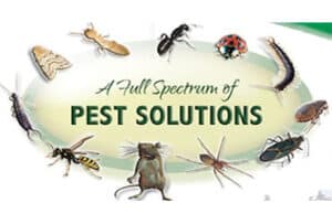 Pest Control Services by Advantage Pest Control in Temple