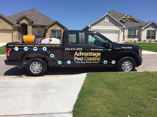 Advantage Pest Control, Pest Control company in Woodway Pest Control Services by Advantage Pest Control in Woodway, Texas