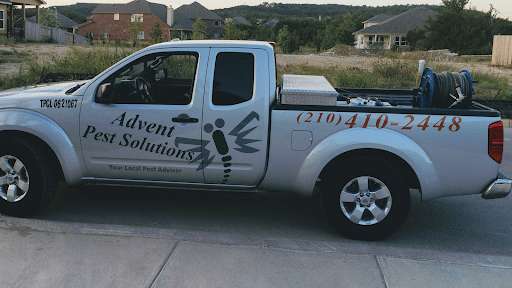 Pest Control Services by Advent Pest Solutions in San Antonio