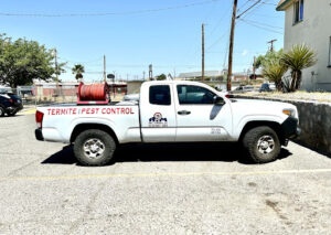 Pest Control Services by Aim Pest Control in El Paso