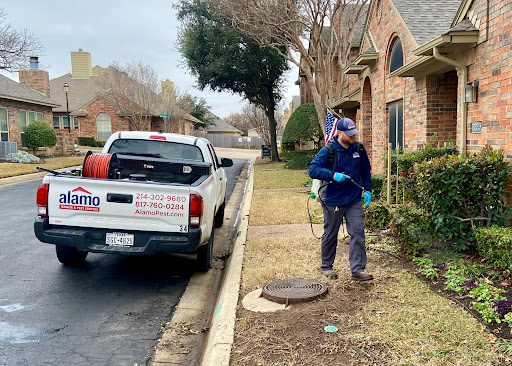Alamo Termite & Pest Control, Pest Control company in McKinney Pest Control Services by Alamo Termite & Pest Control in McKinney, Texas