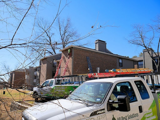 Pest Control Services by All Pest Solutions in Wylie