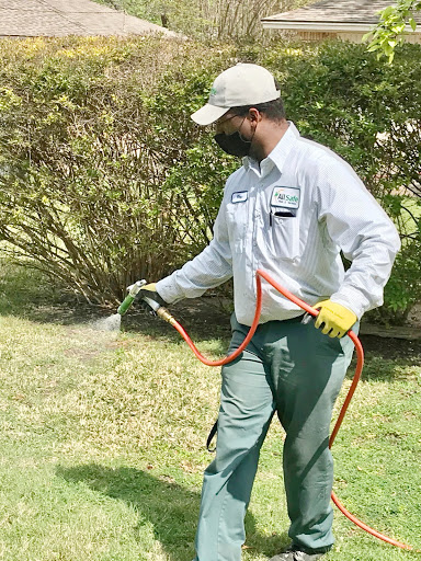 All-Safe Pest & Termite, Pest Control company in Plano Pest Control Services by All-Safe Pest & Termite in Plano, Texas