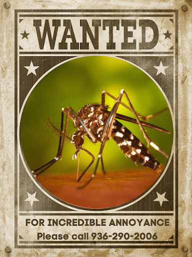 America'S Pest Control, Pest Control company in Conroe Pest Control Services by America'S Pest Control in Conroe, Texas