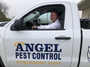 Pest Control Services by Angel Pest Control in Seguin