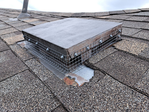 Animal Control Experts, Pest Control company in Austin Pest Control Services by Animal Control Experts in Austin, Texas