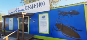 Pest Control Services by Anytime Pest Elimination in Baytown