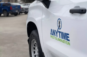 Pest Control Services by Anytime Pest Elimination San Antonio in San Antonio