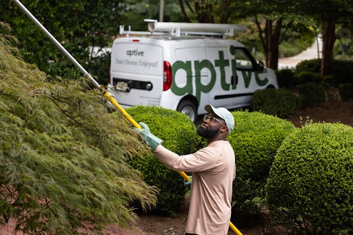 Pest Control Services by Aptive Pest Control in Plano