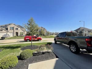 Pest Control Services by Aviator Pest Control in Houston
