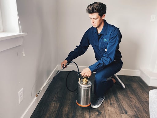 BRD Pest Solutions, Pest Control company in Jarrell Pest Control Services by BRD Pest Solutions in Jarrell, Texas