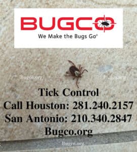Pest Control Services by BUGCO Pest Control Houston in Richmond