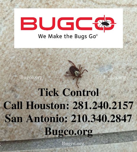Pest Control Services by BUGCO Pest Control Houston in Richmond