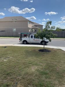 Pest Control Services by BUGCO Pest Control San Antonio in San Antonio