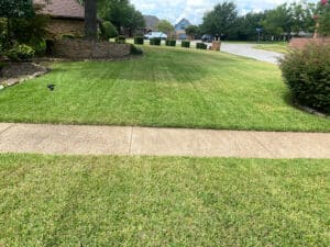 Pest Control Services by Bdh Lawn Care Services in Fort Worth