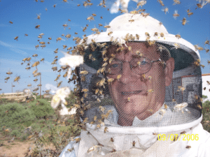 Pest Control Services by Bee Busters Inc in Midland