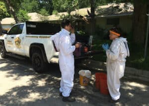 Pest Control Services by Bee Charmer in Fort Worth