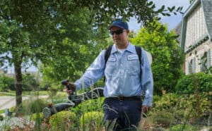Pest Control Services by Berrett Pest
