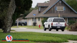 Pest Control Services by Big M Pest Control in Ingleside