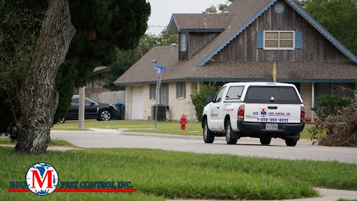 Big M Pest Control, Pest Control company in Ingleside Pest Control Services by Big M Pest Control in Ingleside, Texas