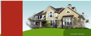 Pest Control Services by Biz-Zz Bee Farms Pest Control in San Antonio