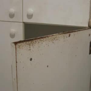 Pest Control Services by Blackhawk Pest Management