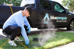 Pest Control Services by Blue Penguin Pest Control in Forney