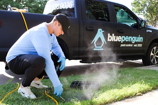 Blue Penguin Pest Control, Pest Control company in Forney Pest Control Services by Blue Penguin Pest Control in Forney, Texas