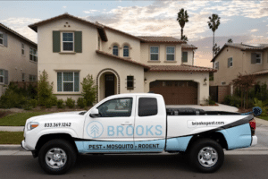 Pest Control Services by Brooks Pest Control in Addison